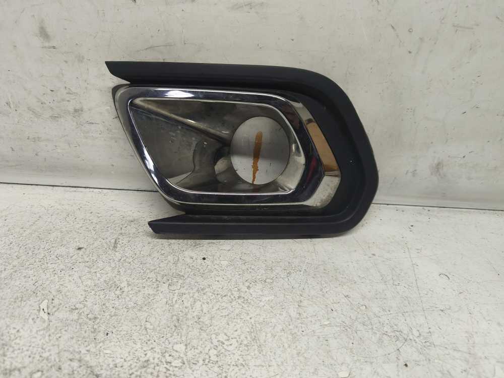 GRILLE DE PARE CHOC AVANT GAUCHE DACIA - Vue 1